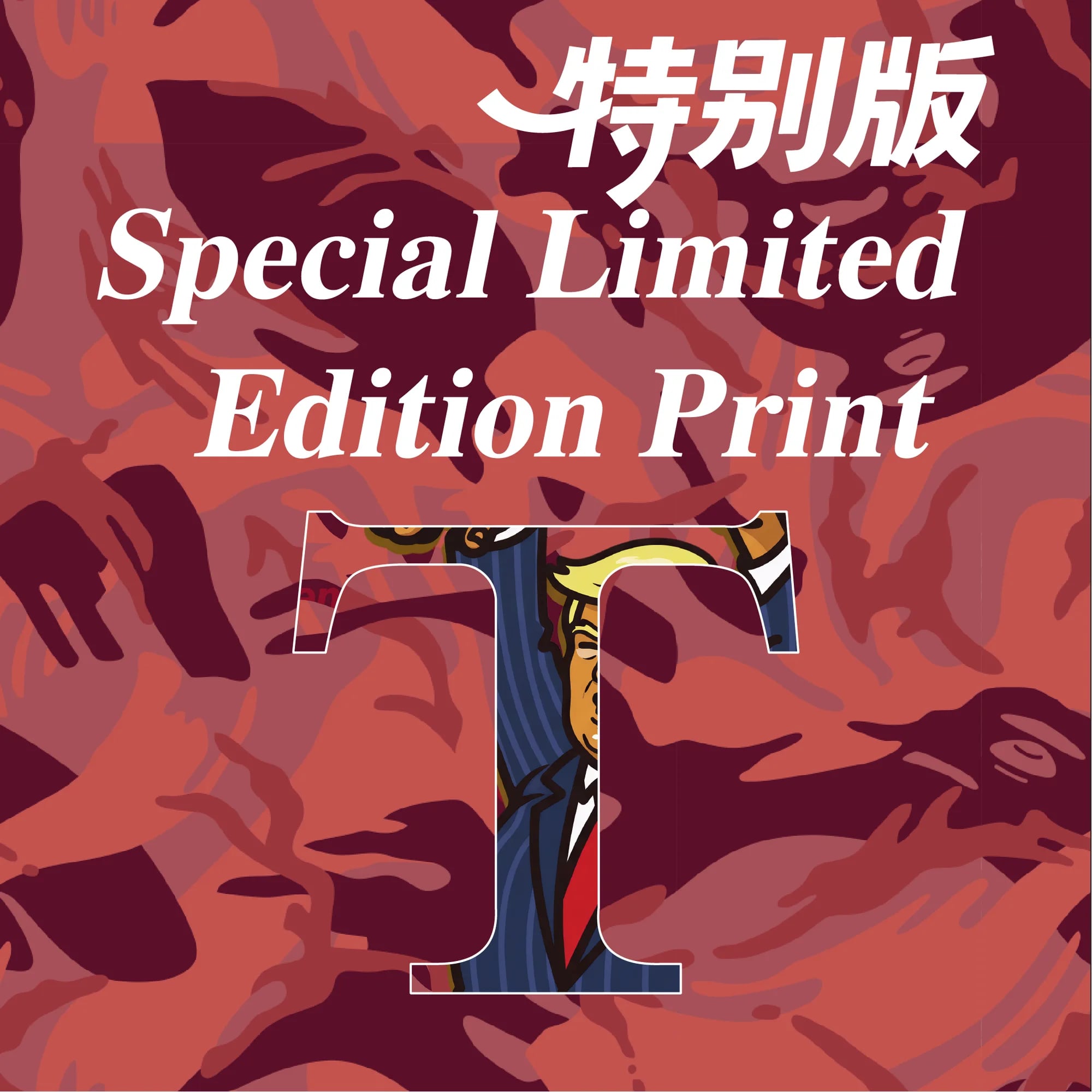 地缘系列 T