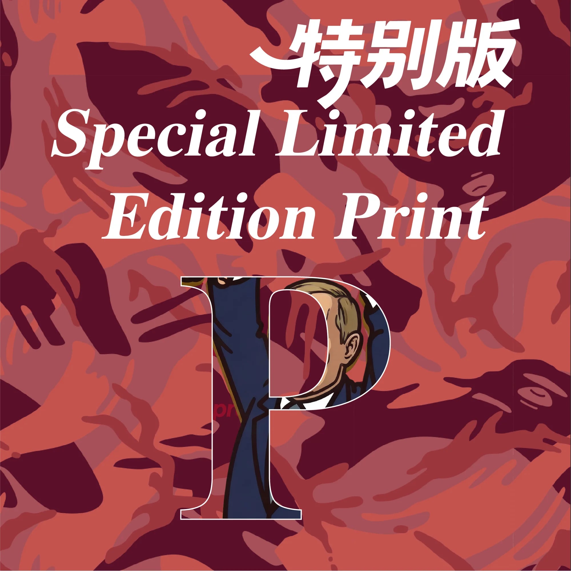 地缘系列 P